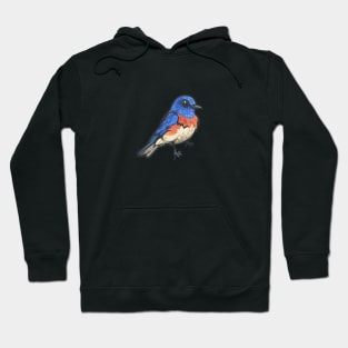 Western Bluebird Hoodie